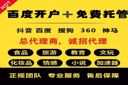 某某sem代运营公司：精准投放的背后策略